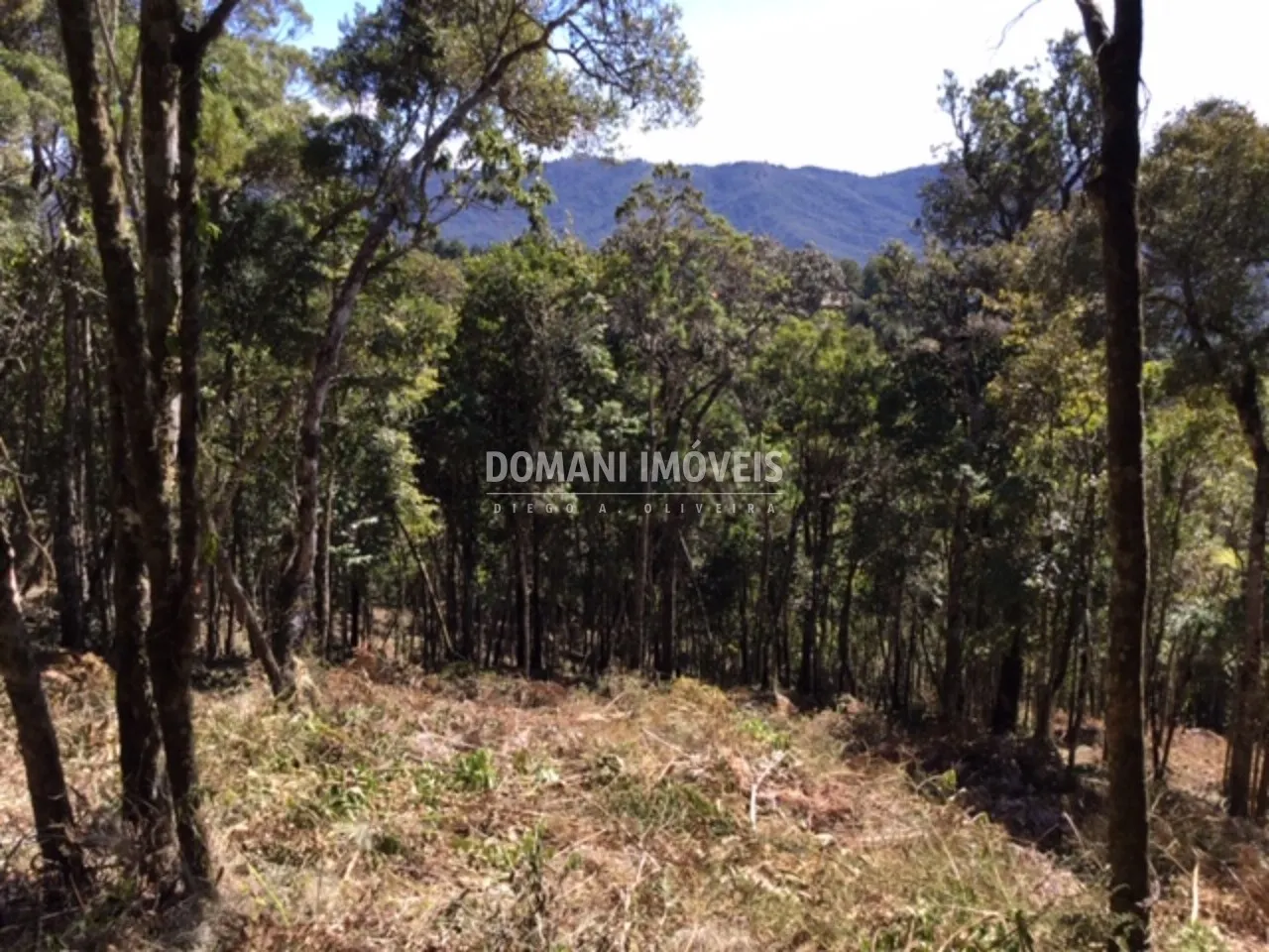 Terreno à venda de 2.690 m² em Campos do Jordão, SP, Brasil