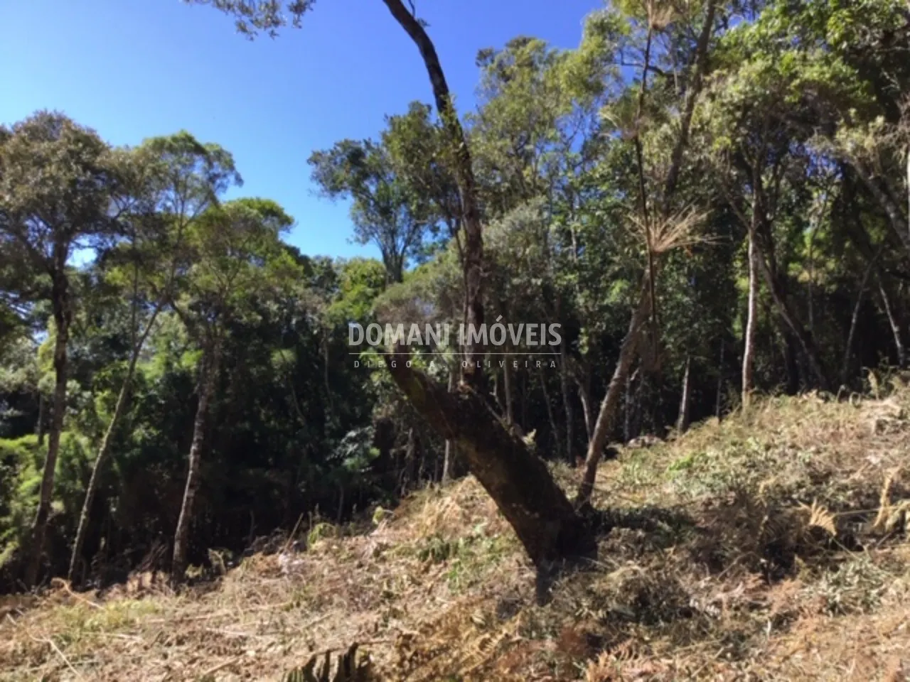 Terreno à venda de 2.690 m² em Campos do Jordão, SP, Brasil