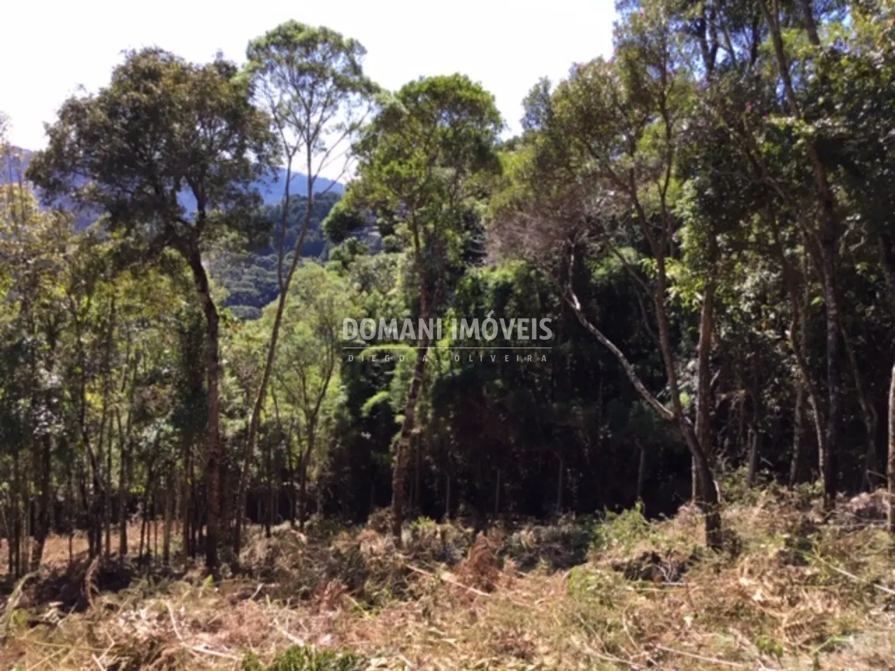 Terreno à venda de 2.690 m² em Campos do Jordão, SP, Brasil