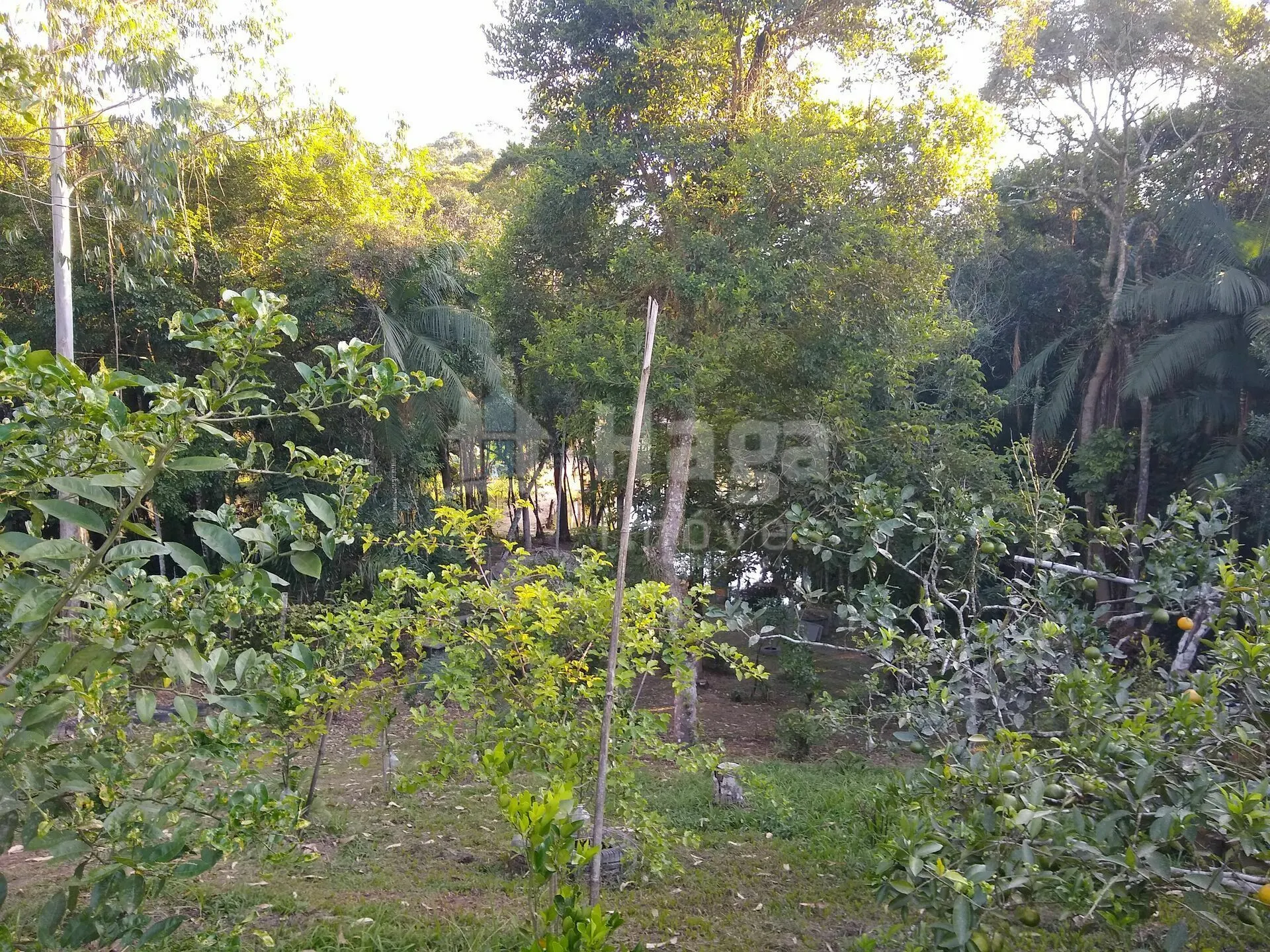 Chácara à venda de 4.400 m² em Itajaí, SC, Brasil
