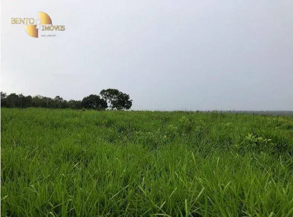 Farm for sale of 9,622 acres in Gaúcha do Norte, MT, Brazil