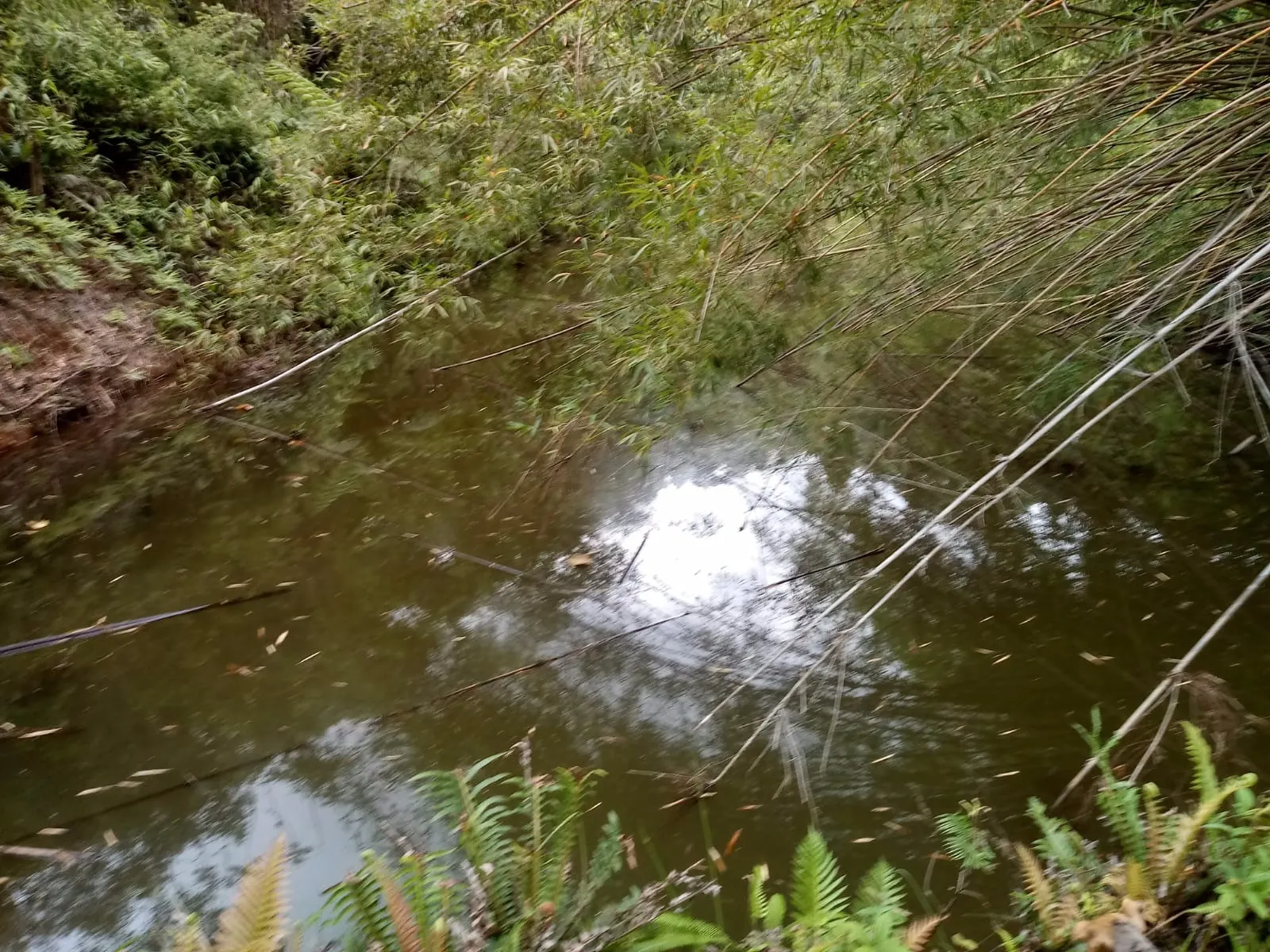 Sítio à venda de 10 ha em São José dos Campos, SP, Brasil