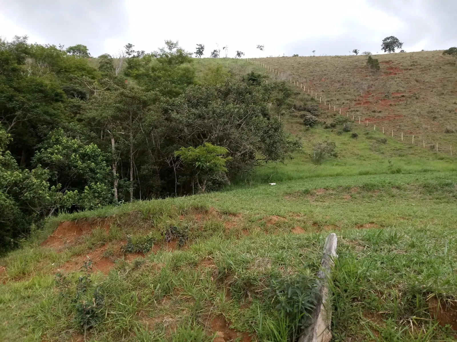 Sítio à venda de 10 ha em São José dos Campos, SP, Brasil