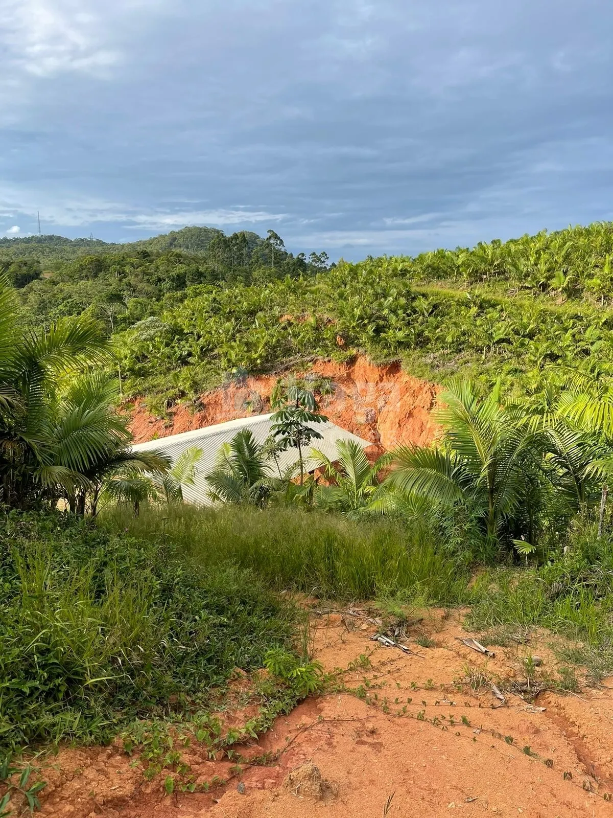 Chácara à venda de 2 ha em Navegantes, SC, Brasil