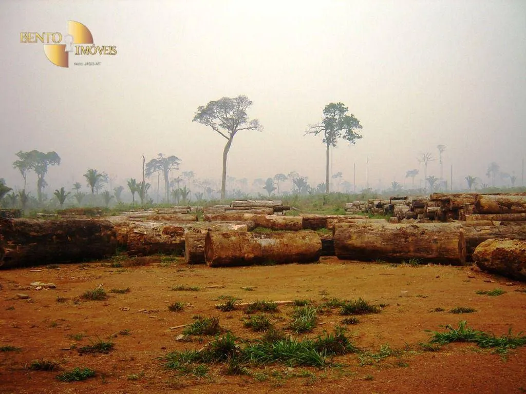 Fazenda à venda de 94.000 ha em Rondolândia, MT, Brasil
