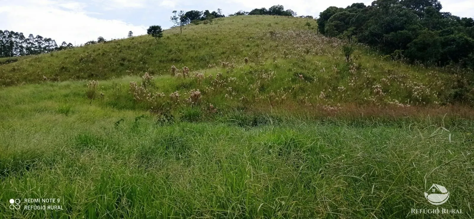 Terreno à venda de 2 ha em São José dos Campos, SP, Brasil