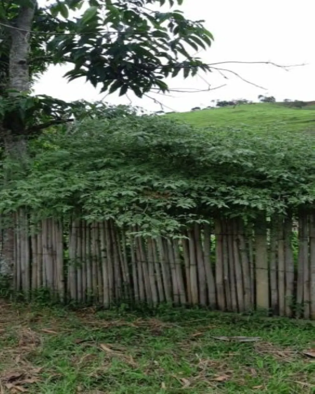 Farm for sale of 323 acres in Jacareí, SP, Brazil