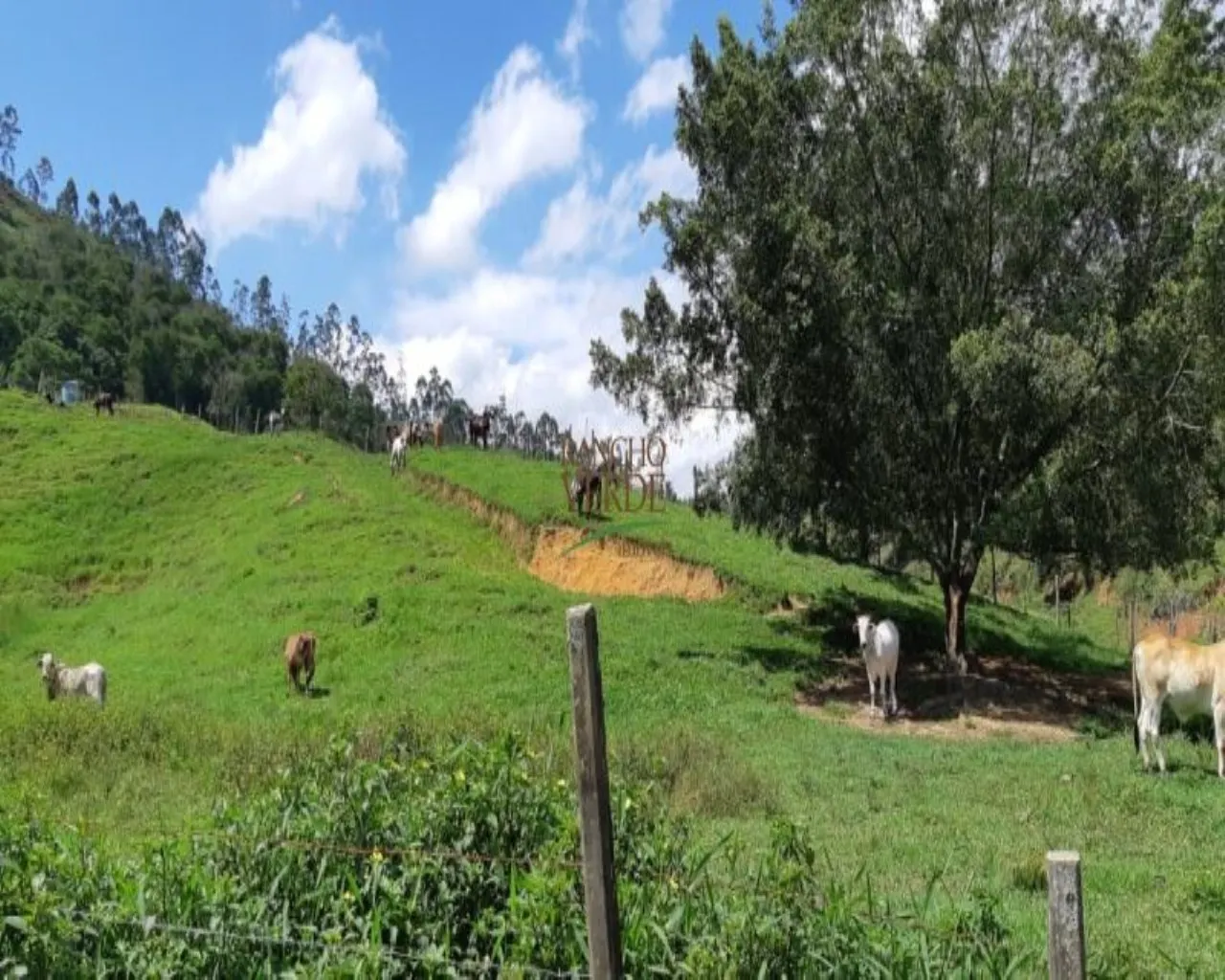 Farm for sale of 323 acres in Jacareí, SP, Brazil