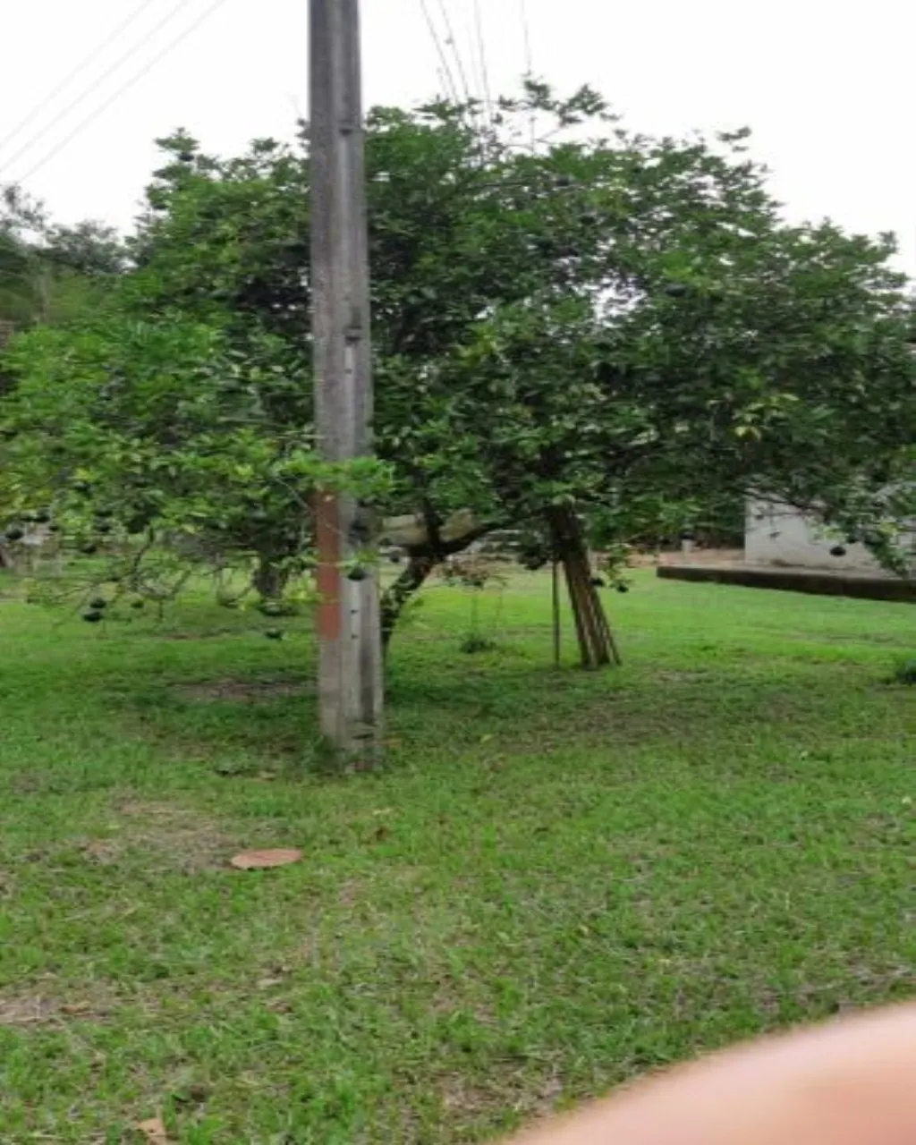 Farm for sale of 323 acres in Jacareí, SP, Brazil