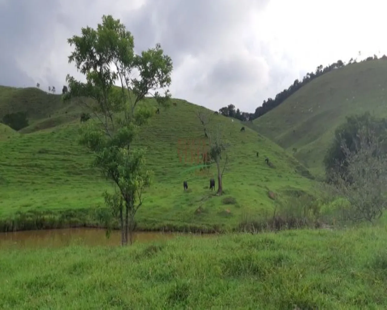 Farm for sale of 323 acres in Jacareí, SP, Brazil