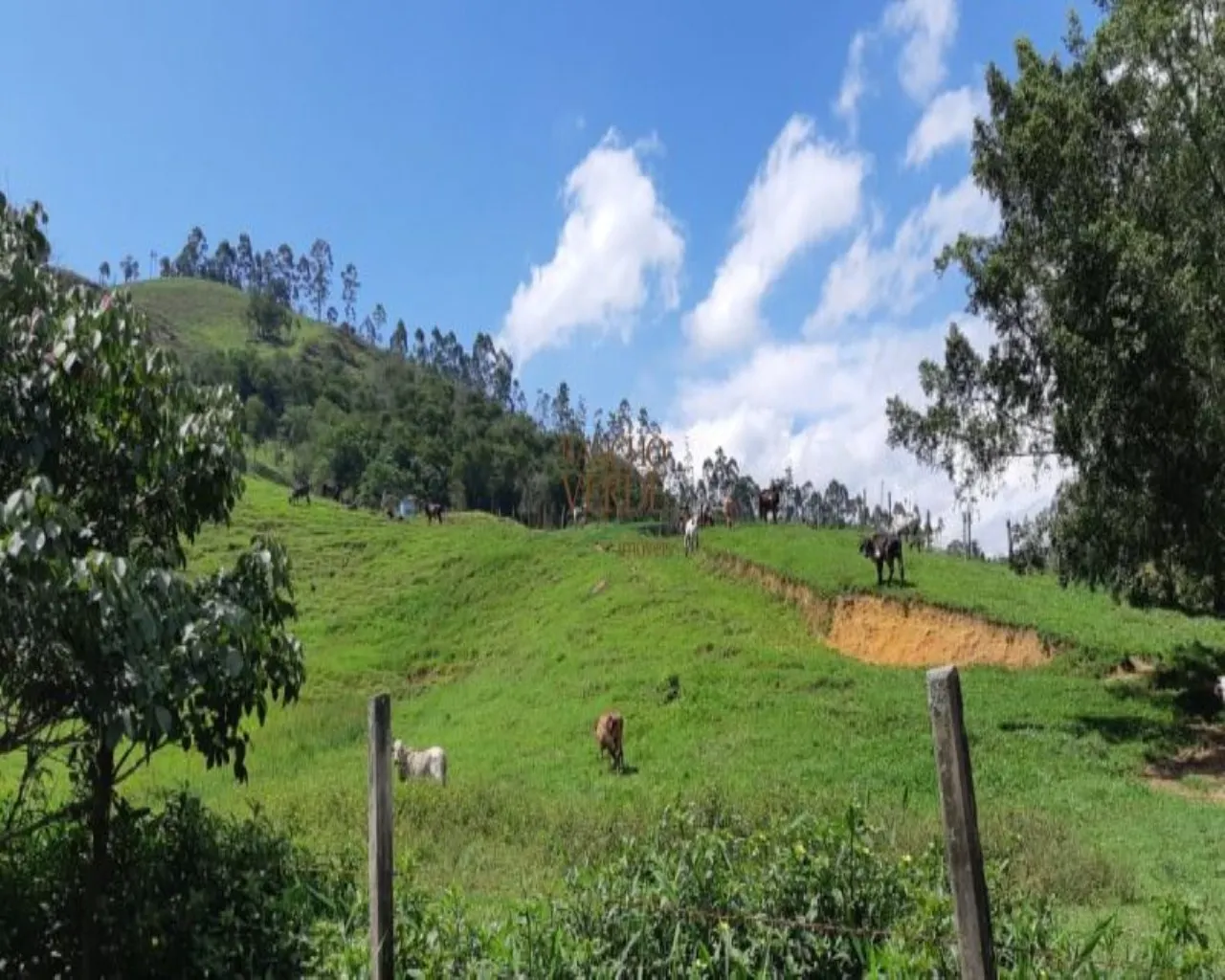 Farm for sale of 323 acres in Jacareí, SP, Brazil