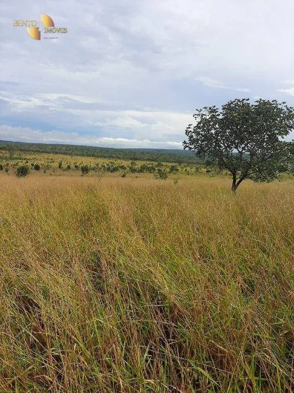 Farm for sale of 6,672 acres in Paranatinga, MT, Brazil