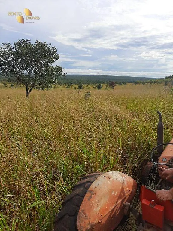 Fazenda à venda de 2.700 ha em Paranatinga, MT, Brasil