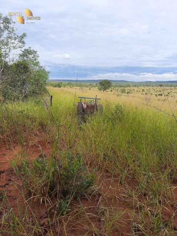 Farm for sale of 6,672 acres in Paranatinga, MT, Brazil