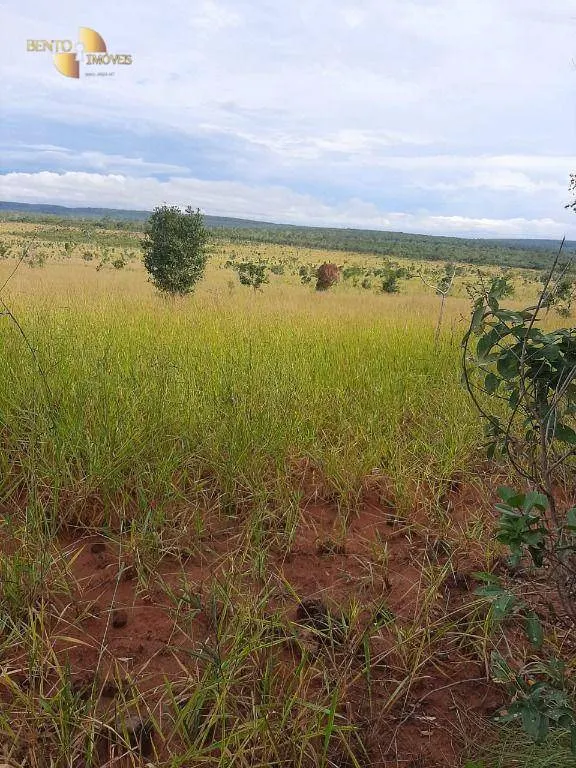 Farm for sale of 6,672 acres in Paranatinga, MT, Brazil