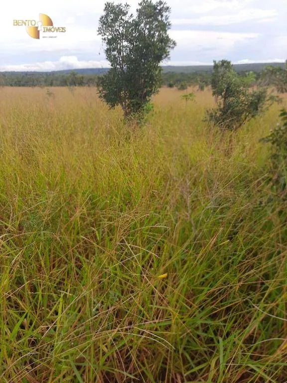 Farm for sale of 6,672 acres in Paranatinga, MT, Brazil