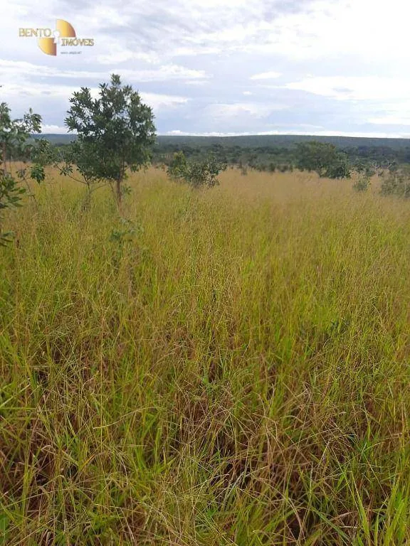 Farm for sale of 6,672 acres in Paranatinga, MT, Brazil