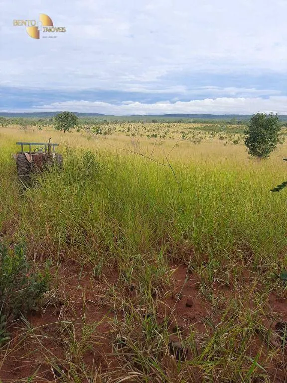 Farm for sale of 6,672 acres in Paranatinga, MT, Brazil