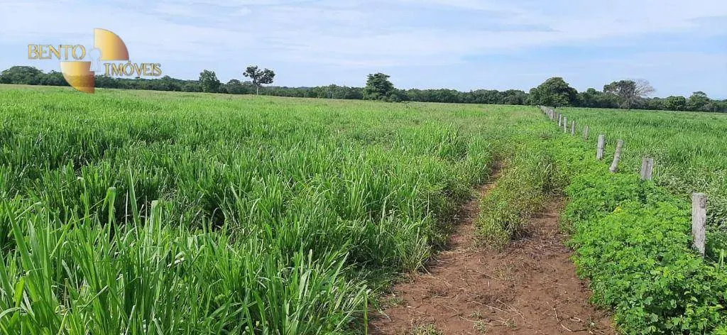 Farm for sale of 1,483 acres in Poconé, MT, Brazil
