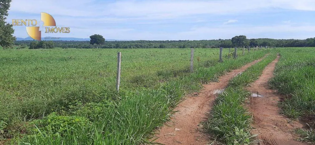 Farm for sale of 1,483 acres in Poconé, MT, Brazil
