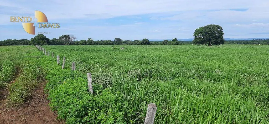 Farm for sale of 1,483 acres in Poconé, MT, Brazil