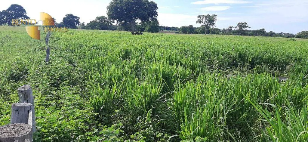 Farm for sale of 1,483 acres in Poconé, MT, Brazil