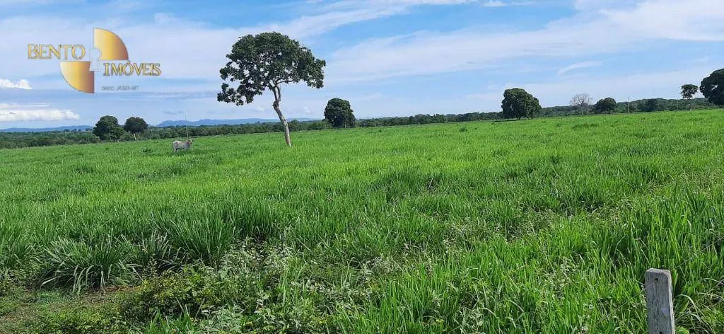 Farm for sale of 1,483 acres in Poconé, MT, Brazil
