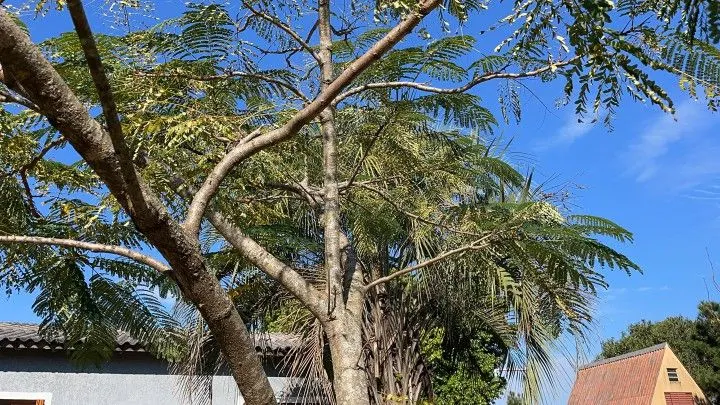 Country home for sale of 1,200 m² in Osório, RS, Brazil