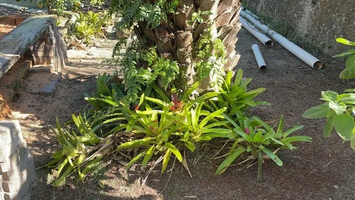 Country home for sale of 1,200 m² in Osório, RS, Brazil
