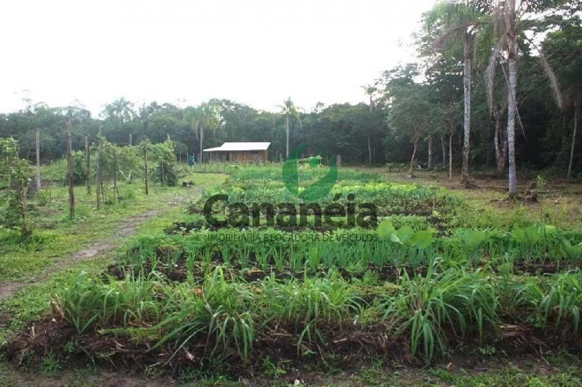 Fazenda à venda de 70 ha em Cananéia, SP, Brasil