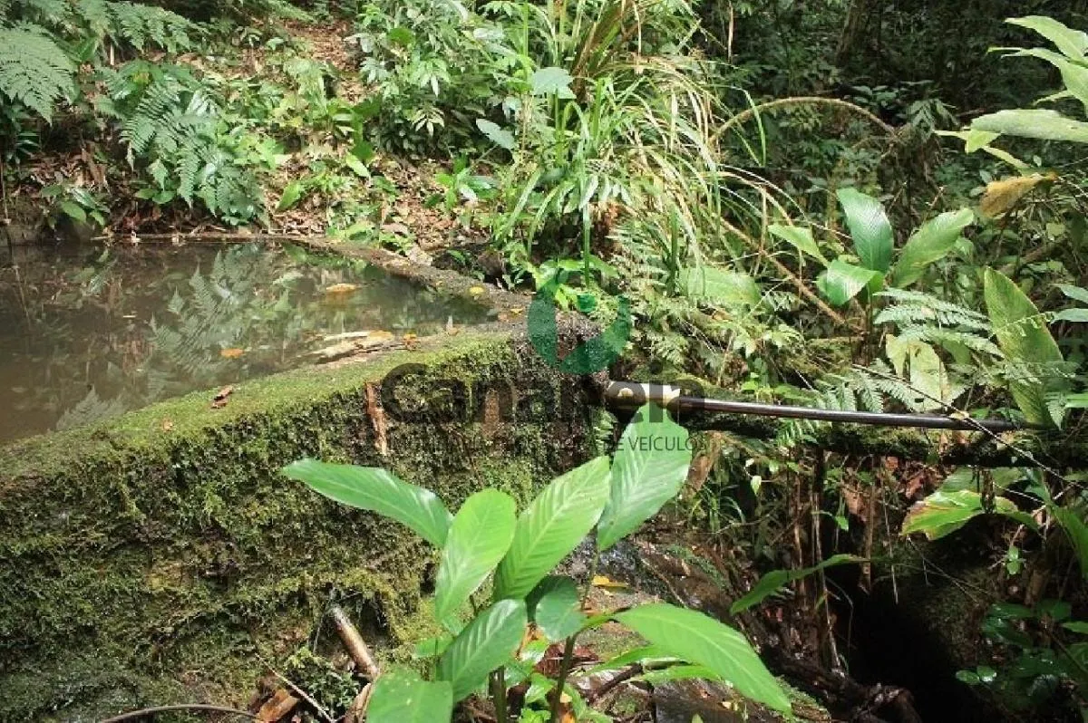 Fazenda à venda de 70 ha em Cananéia, SP, Brasil