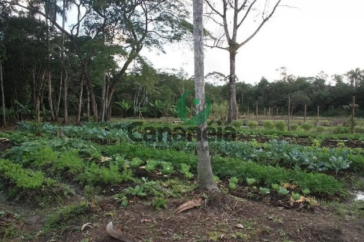 Fazenda à venda de 70 ha em Cananéia, SP, Brasil