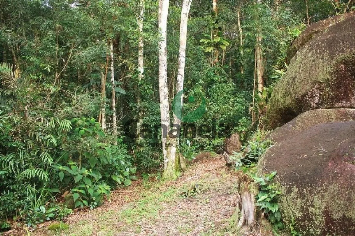 Fazenda à venda de 70 ha em Cananéia, SP, Brasil