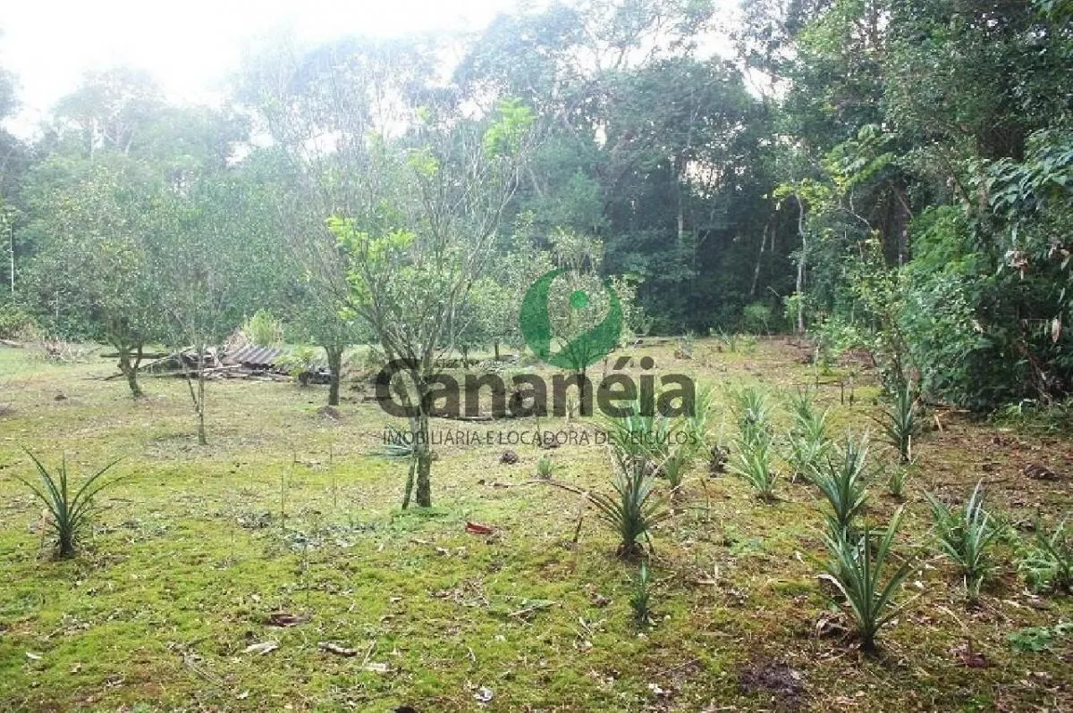 Fazenda à venda de 70 ha em Cananéia, SP, Brasil