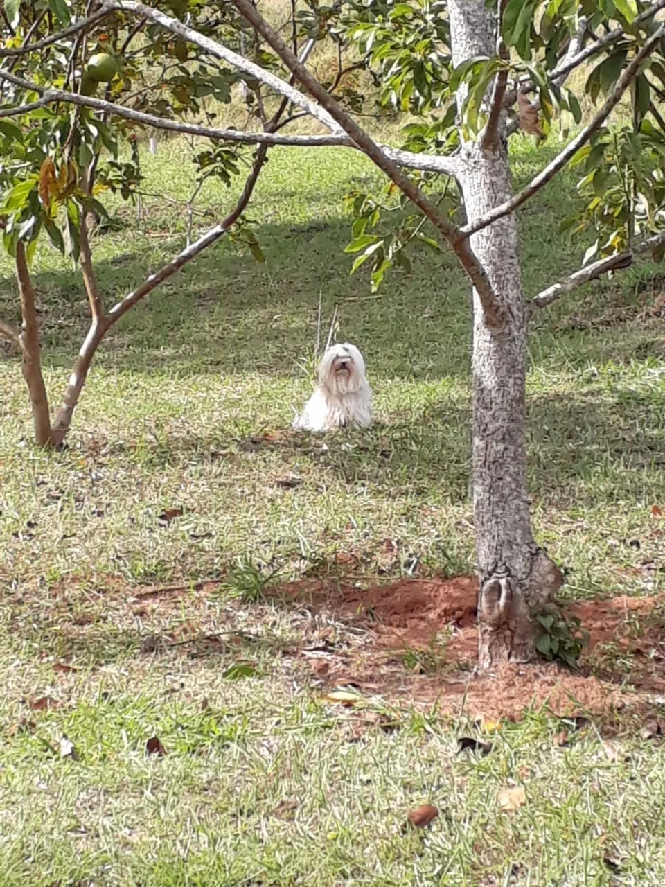Chácara à venda de 1 ha em Taubaté, SP, Brasil