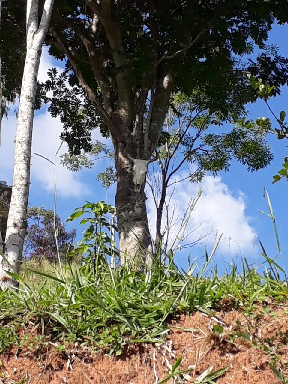 Chácara à venda de 1 ha em Taubaté, SP, Brasil