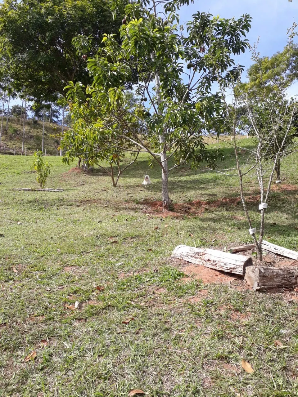 Chácara à venda de 1 ha em Taubaté, SP, Brasil
