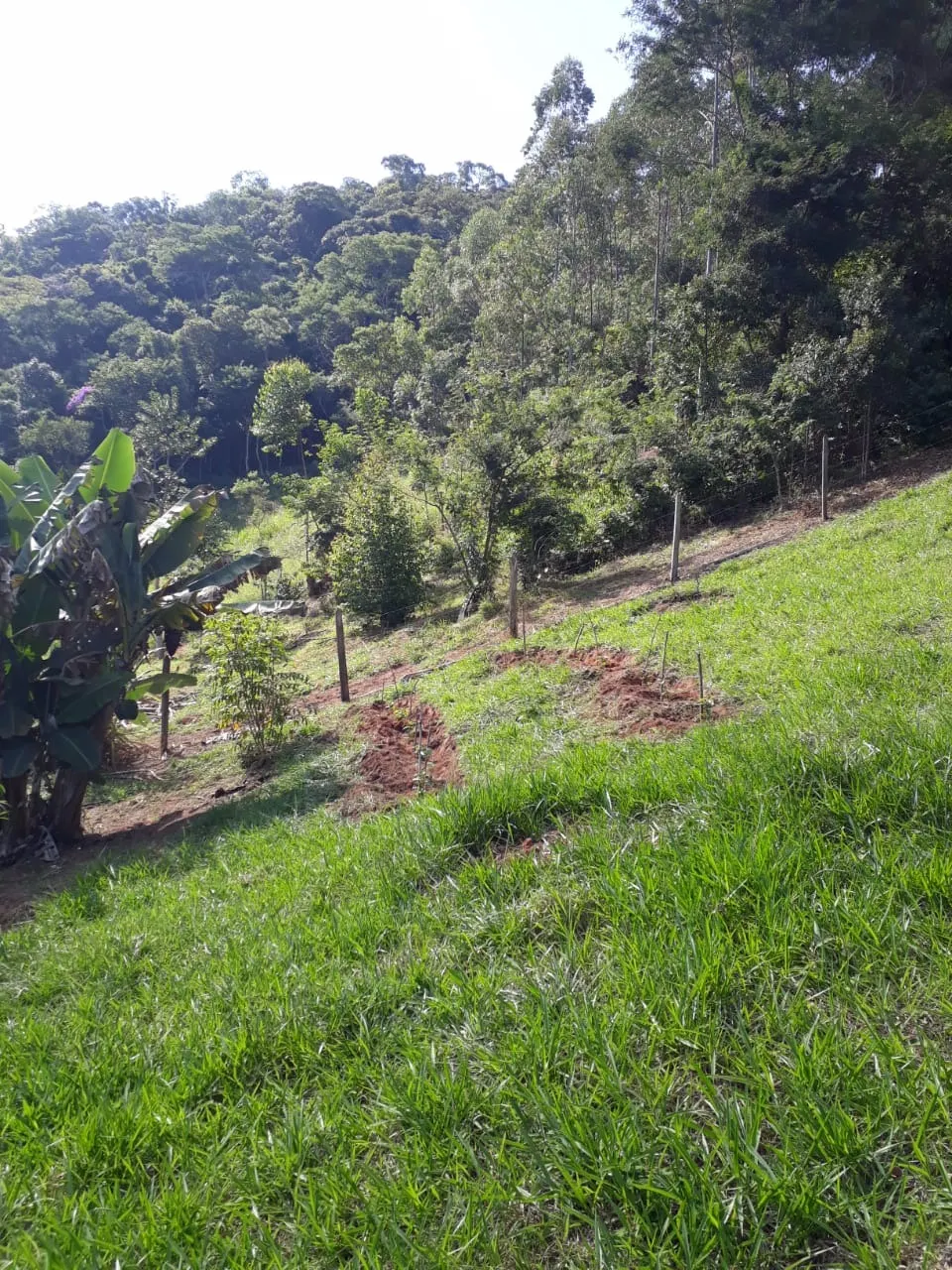 Chácara à venda de 1 ha em Taubaté, SP, Brasil