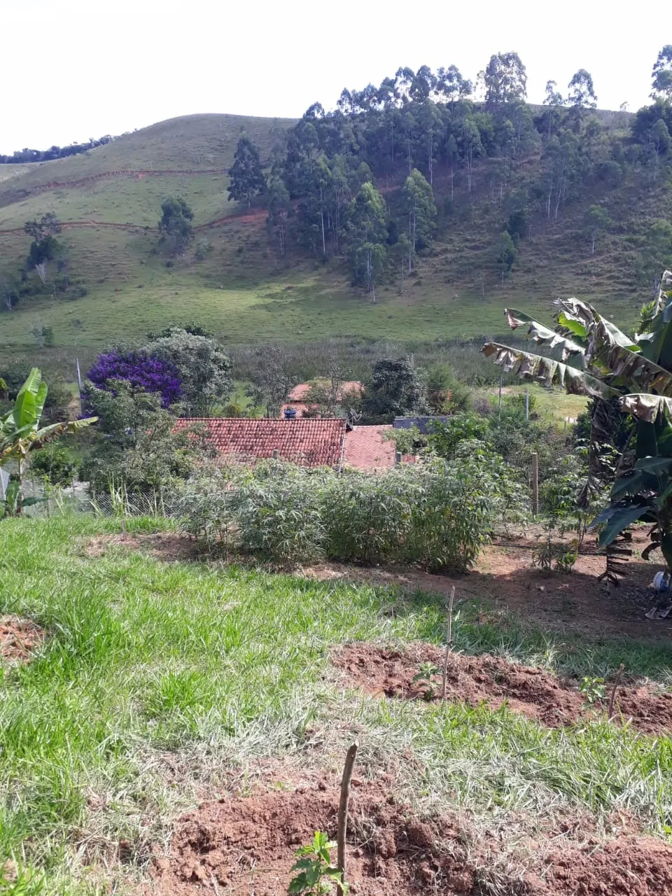 Chácara à venda de 1 ha em Taubaté, SP, Brasil