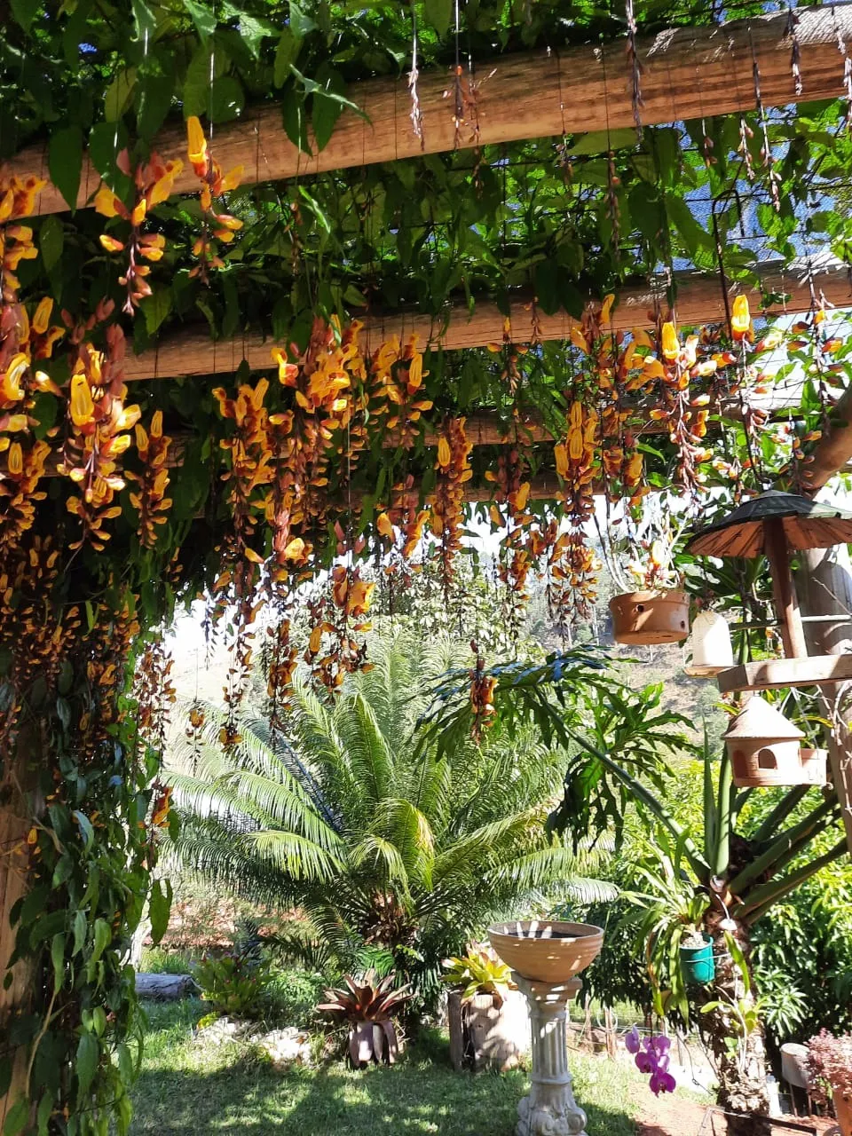 Chácara à venda de 1 ha em Taubaté, SP, Brasil