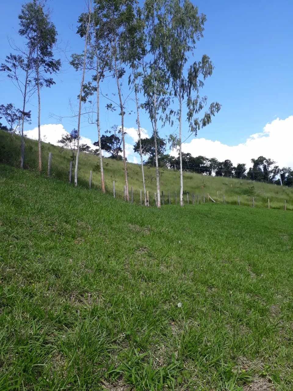 Chácara à venda de 1 ha em Taubaté, SP, Brasil