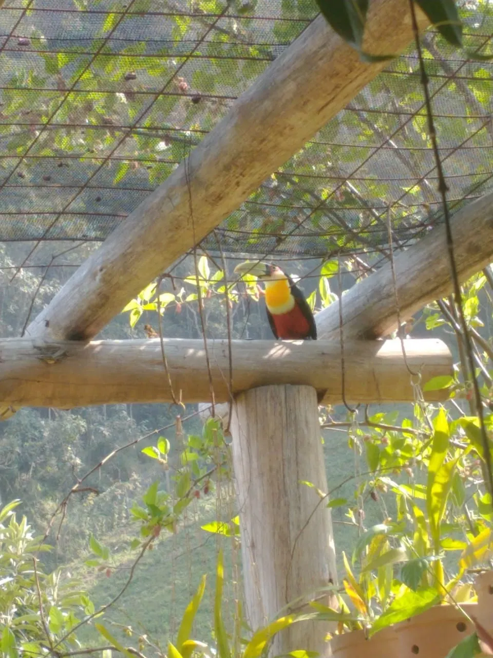 Chácara à venda de 1 ha em Taubaté, SP, Brasil