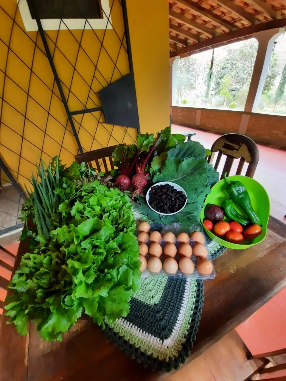 Chácara à venda de 1 ha em Taubaté, SP, Brasil
