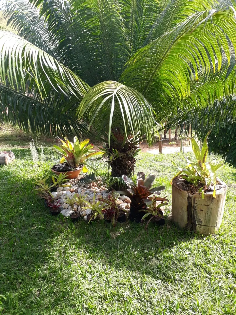 Chácara à venda de 1 ha em Taubaté, SP, Brasil