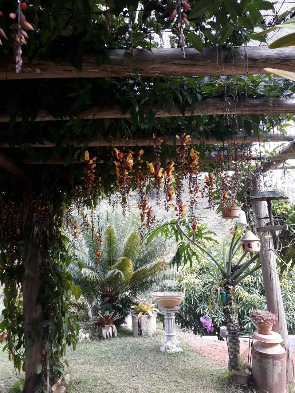 Chácara à venda de 1 ha em Taubaté, SP, Brasil