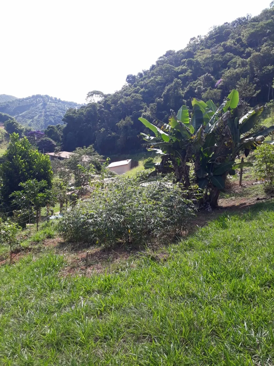 Chácara à venda de 1 ha em Taubaté, SP, Brasil