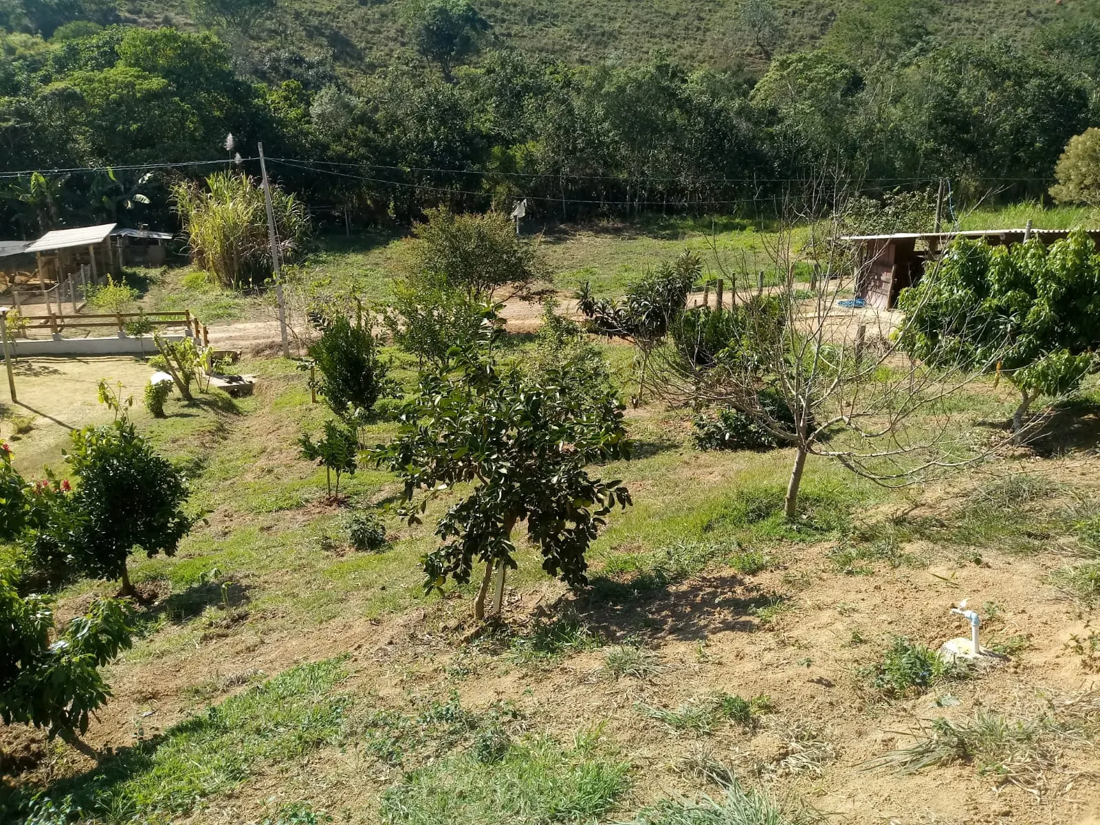 Small farm for sale of 5 acres in Monteiro Lobato, SP, Brazil