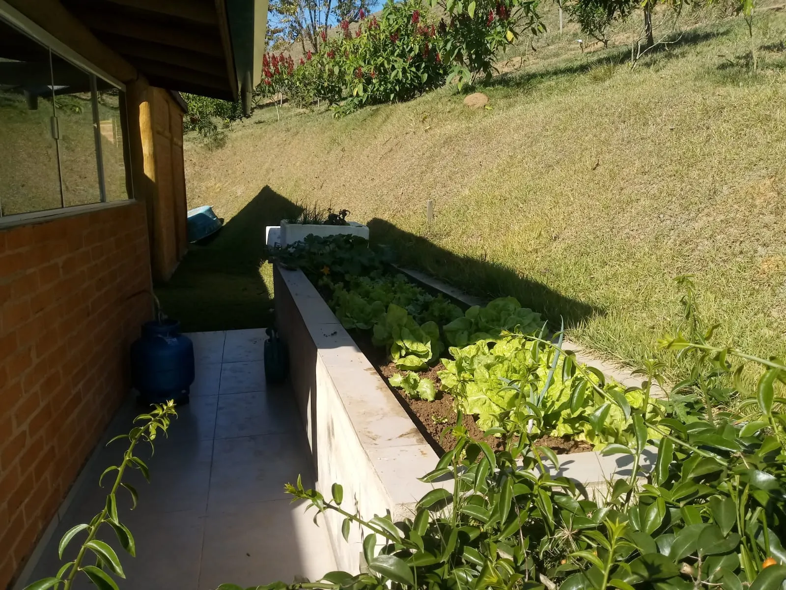 Small farm for sale of 5 acres in Monteiro Lobato, SP, Brazil