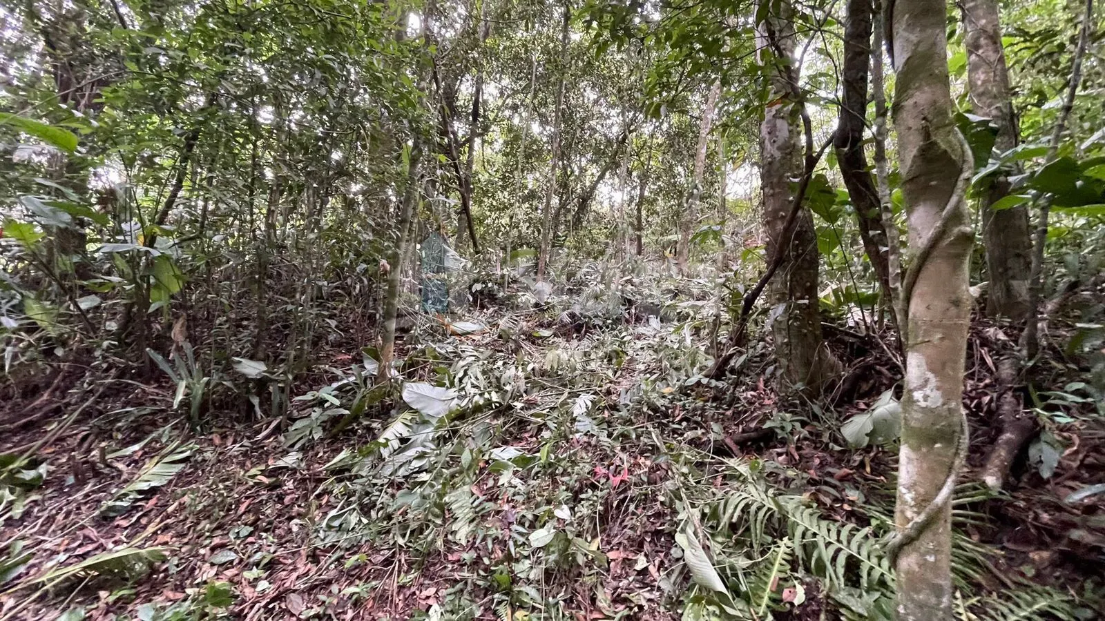 Country home for sale of 10 acres in Canelinha, SC, Brazil