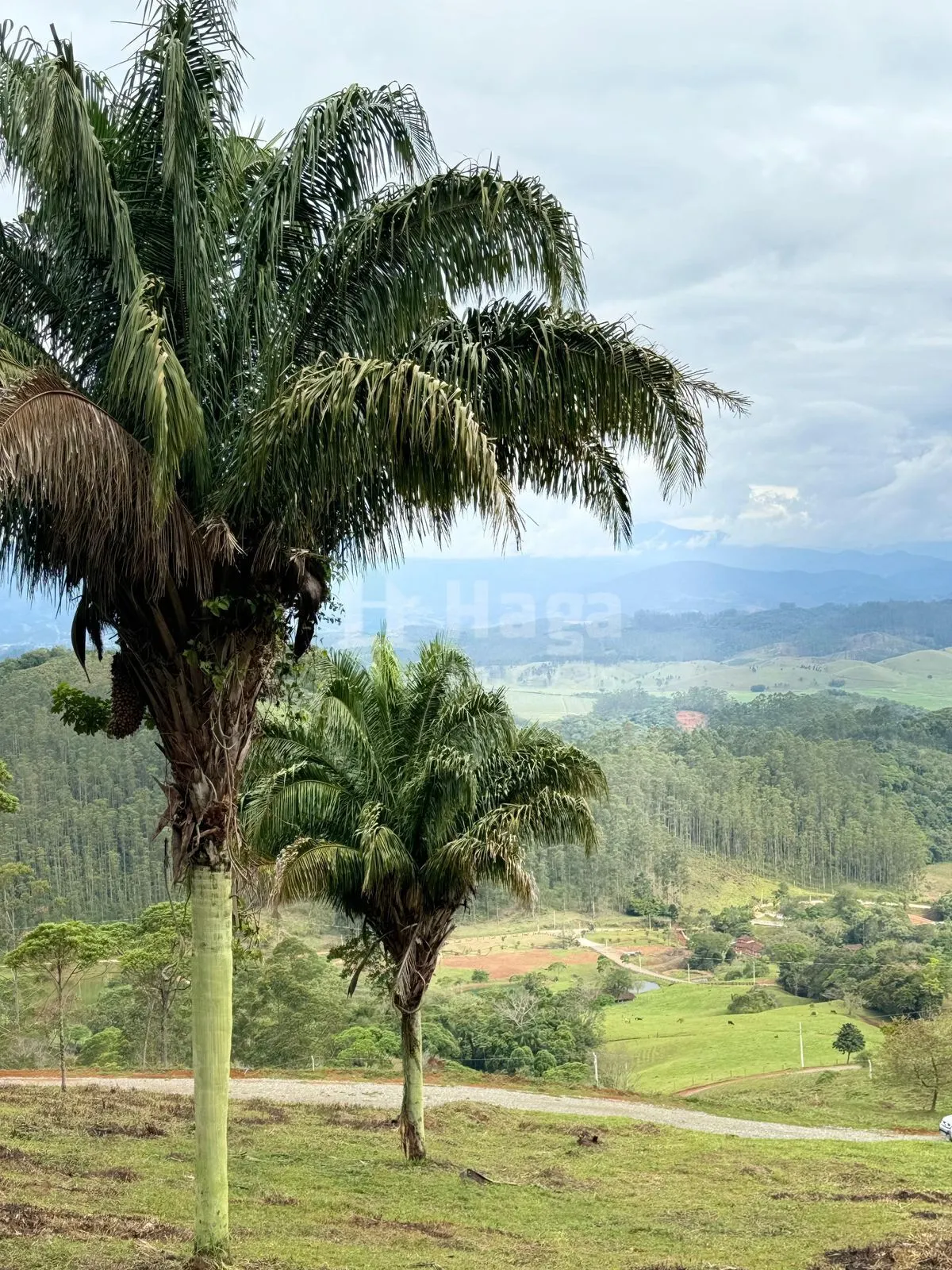 Chácara à venda de 3.484 m² em Canelinha, SC, Brasil